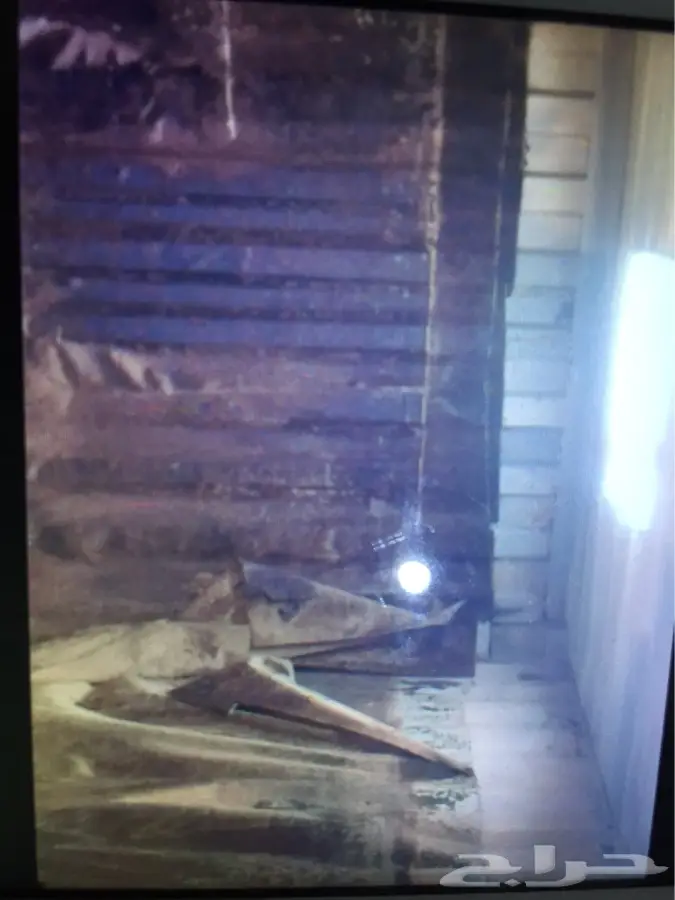 كونتينر للبيع او البدل (image 5)