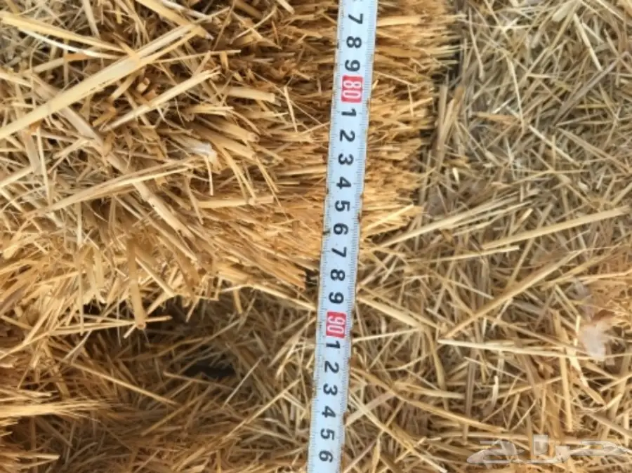 تبن للبيع  (image 2)