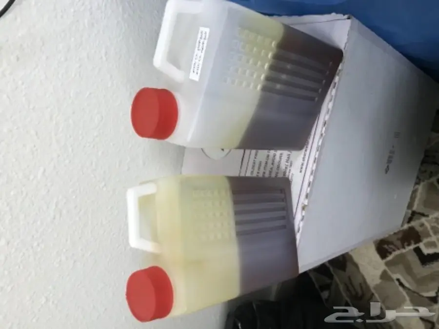 عسل سدر كشميري اصلي للبيع (image 2)