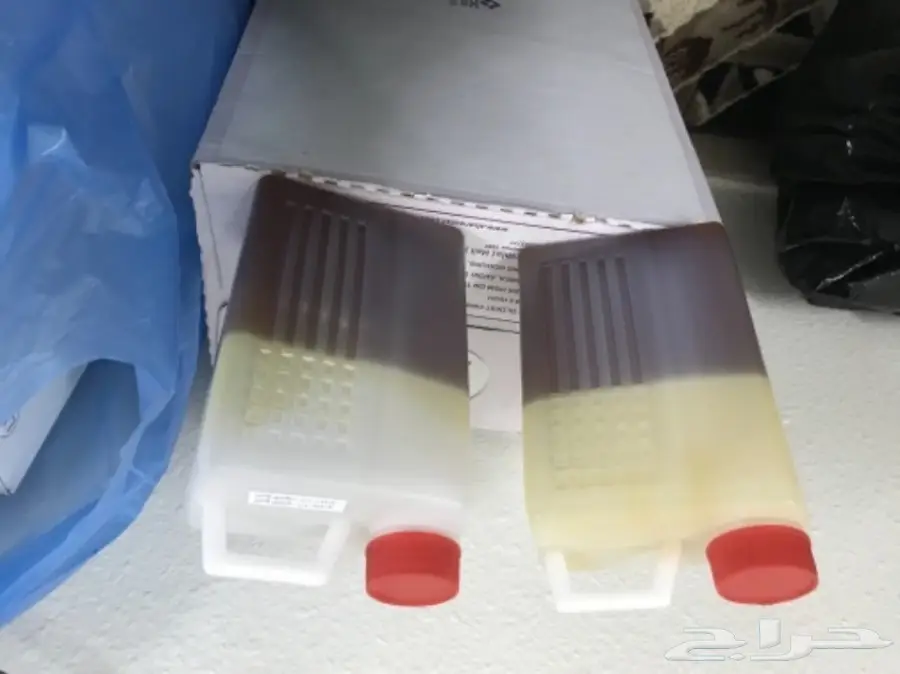 عسل سدر كشميري اصلي للبيع (image 3)