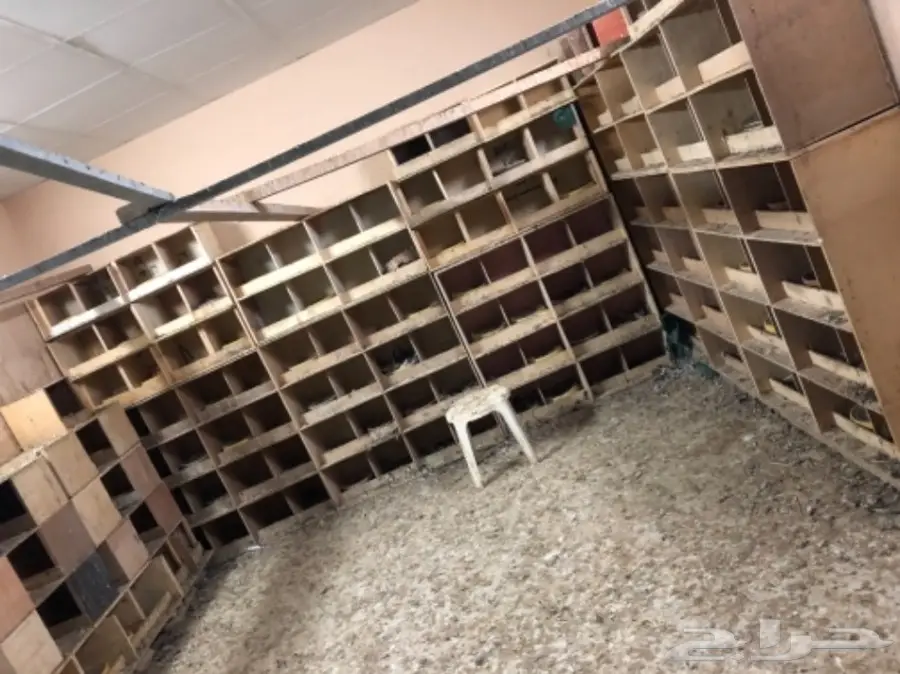 فرصة للبيع  (image 5)