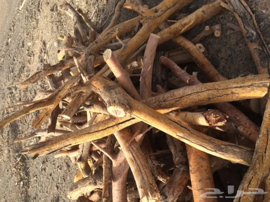 سمر للبيع (image 1)