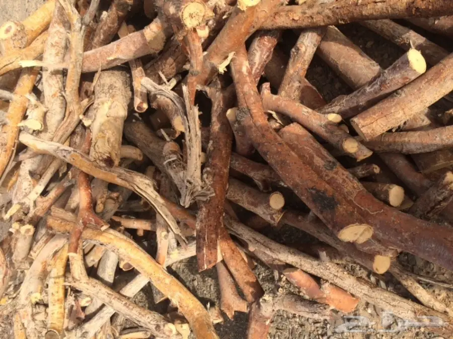 سمر للبيع (image 2)