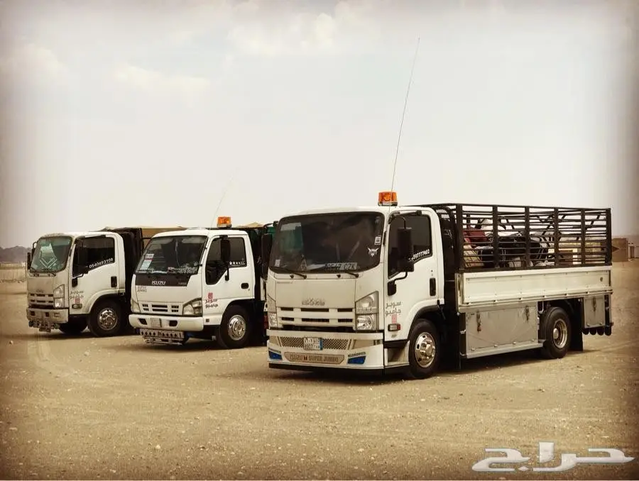 دينا لنقل العفش