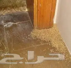 شركة رش مبيدات بالرياض  (image 3)