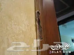 شركة رش مبيدات بالرياض  (image 2)