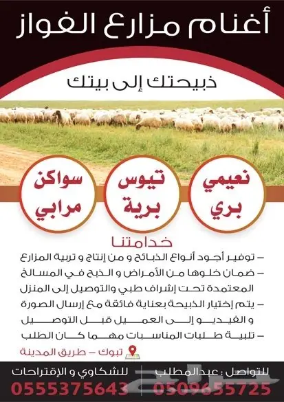 تصميم إعلانات احترافي عن بعد | تصميم إعلانات، مونتاج، وإنترو (image 22)