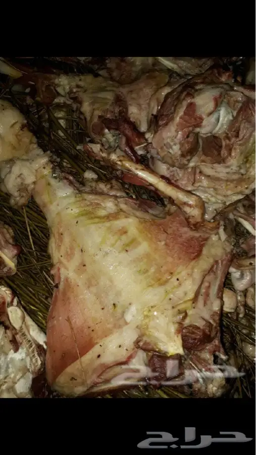 حنيذ بالمرخ ب650 ريال مع التوصيل (image 8)