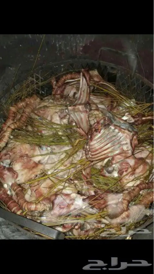 حنيذ بالمرخ ب650 ريال مع التوصيل (image 7)