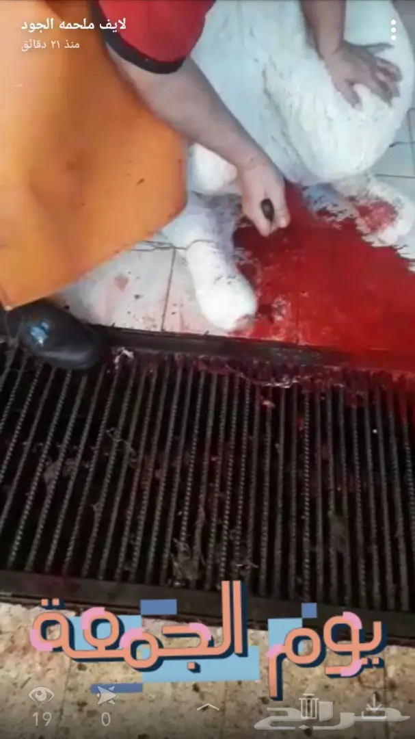 نحر ((قبل قليل)) حاشي بري لباني زبدهه  (image 2)