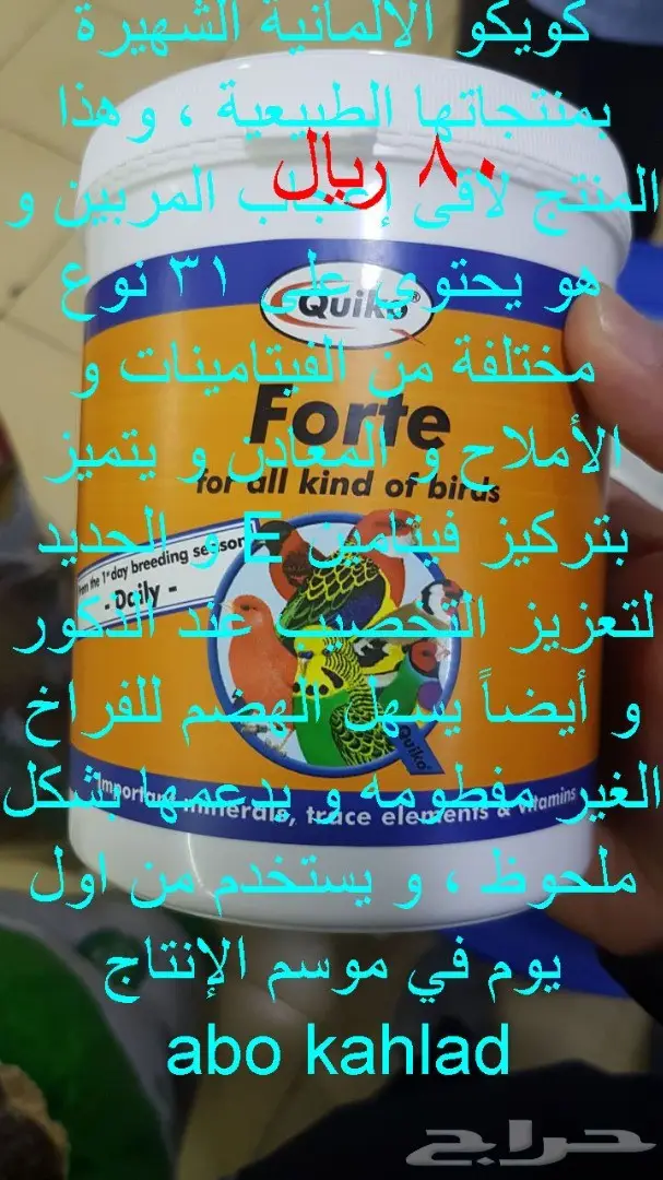 طير الكناري (image 7)