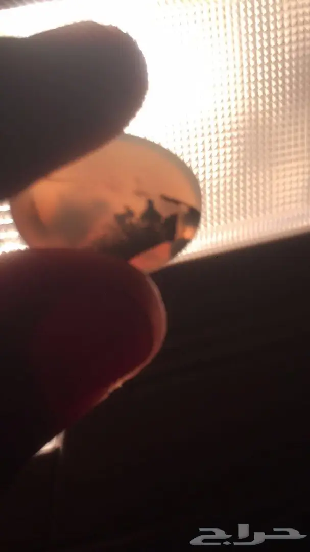 خاتم عقيق مصور صورة ارنب  (image 2)