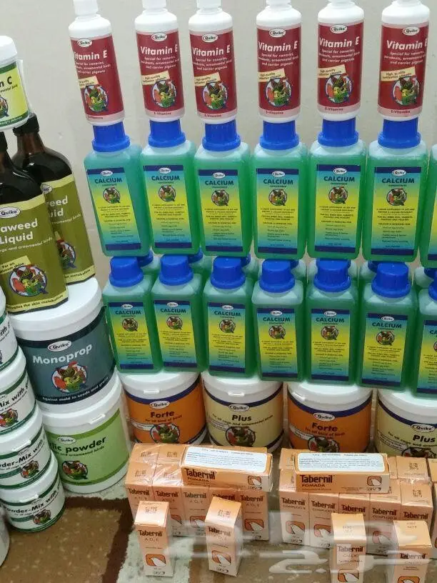 طير الكناري (image 9)