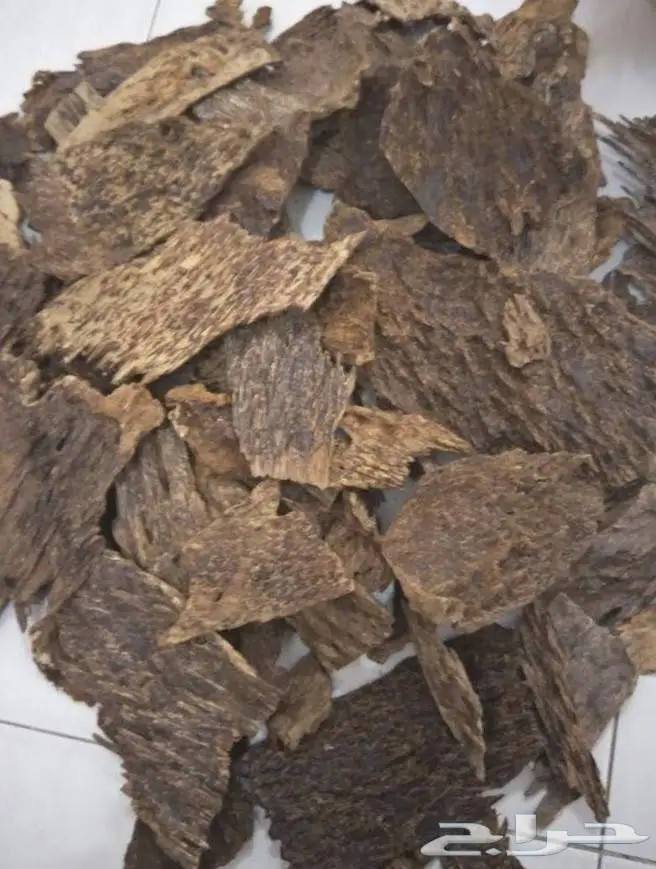 عود كمبوديا للبيع (image 6)