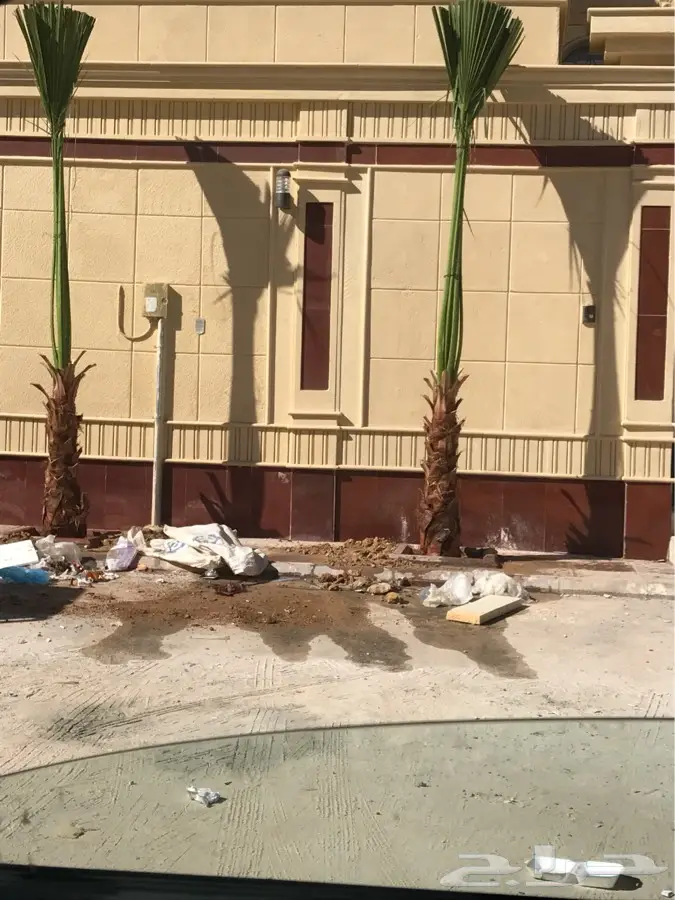 ابوزيد التوريد جميع انوع النخيل وتراث (image 9)