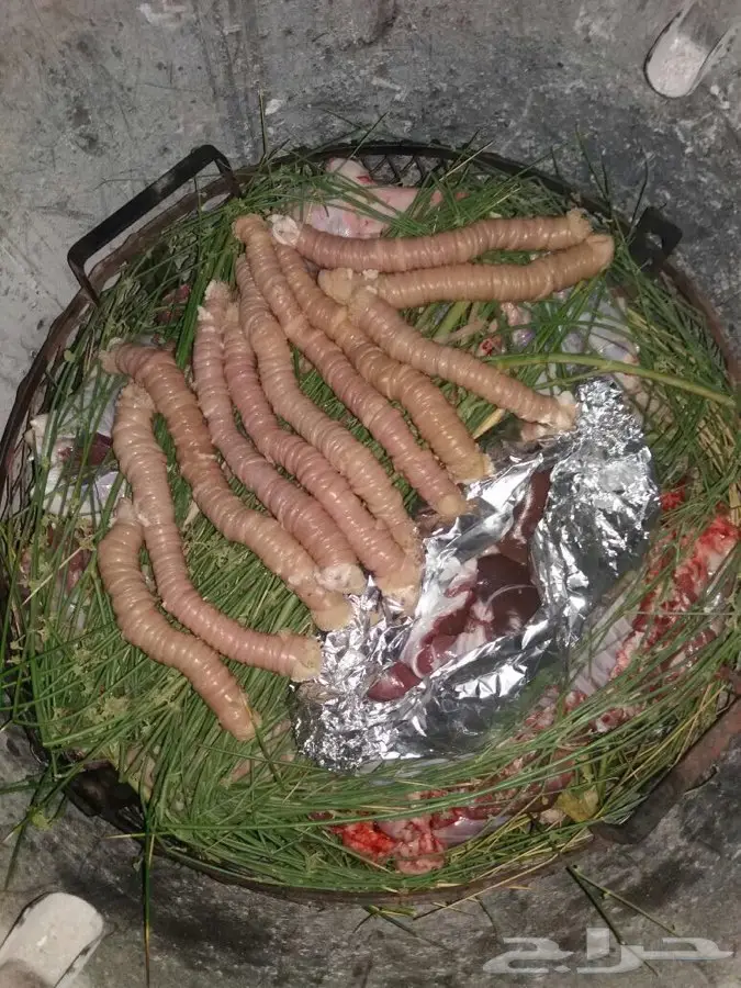 حنيذ بالمرخ ب650 ريال مع التوصيل (image 9)