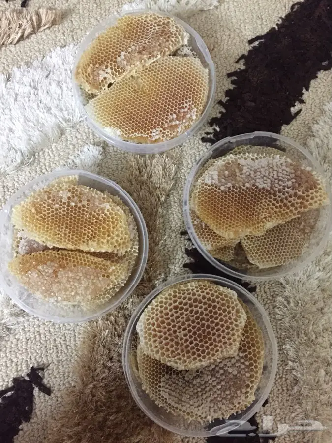 عسل سدر شمع وصافي سدر تهامه عسل سمره عسل (image 20)