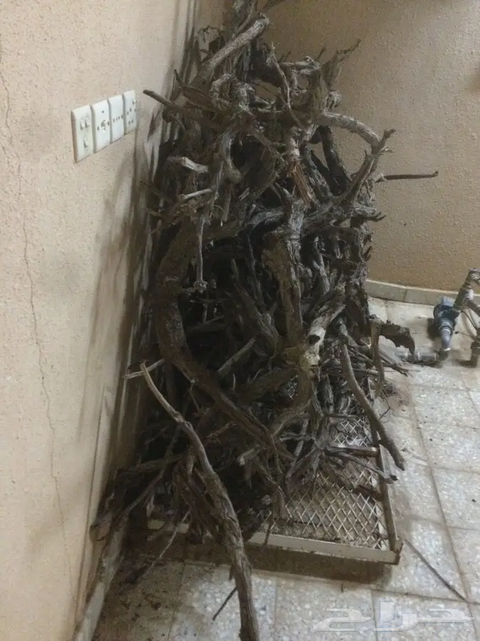 ارطئ  للبيع  (image 2)