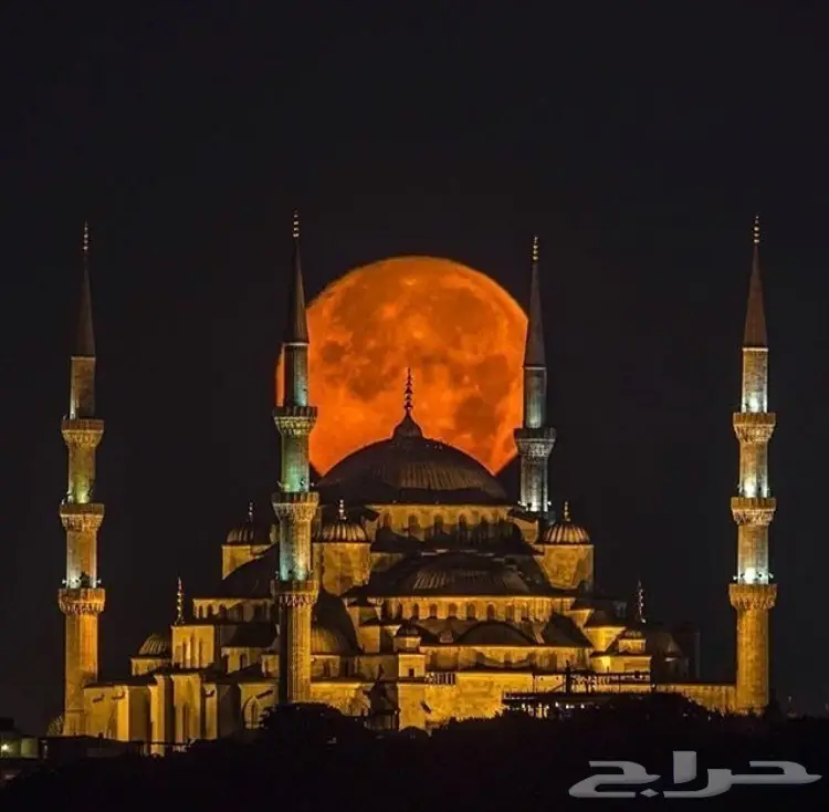 احجز رحلتك الى اسطنبول (image 2)