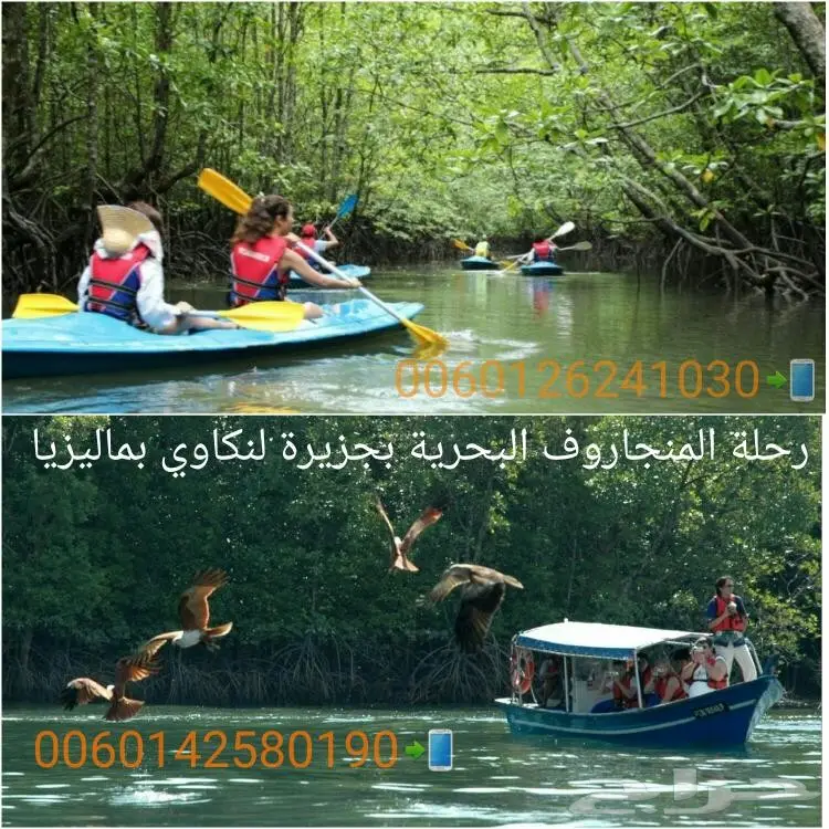 عرض سياحي 10 ايام بماليزيا لزوجين وطفل 2018 (image 20)