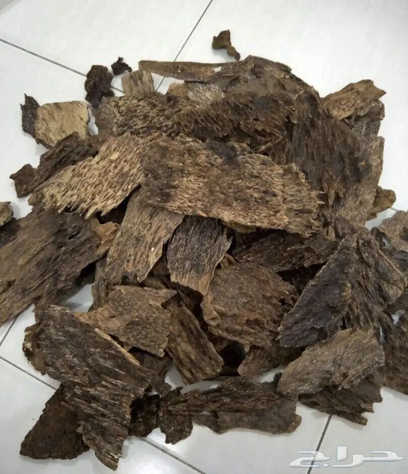 عود كمبوديا للبيع (image 7)