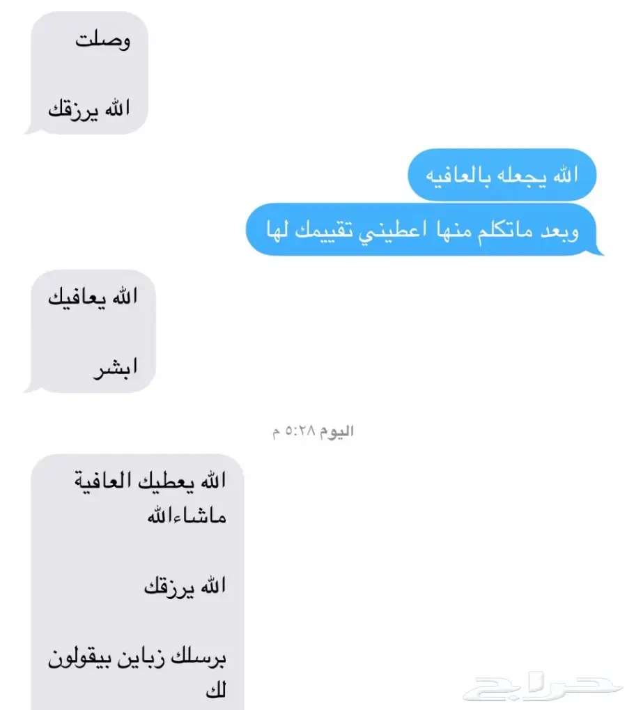 طليان حريه مع الذبح والتوصيل (image 22)