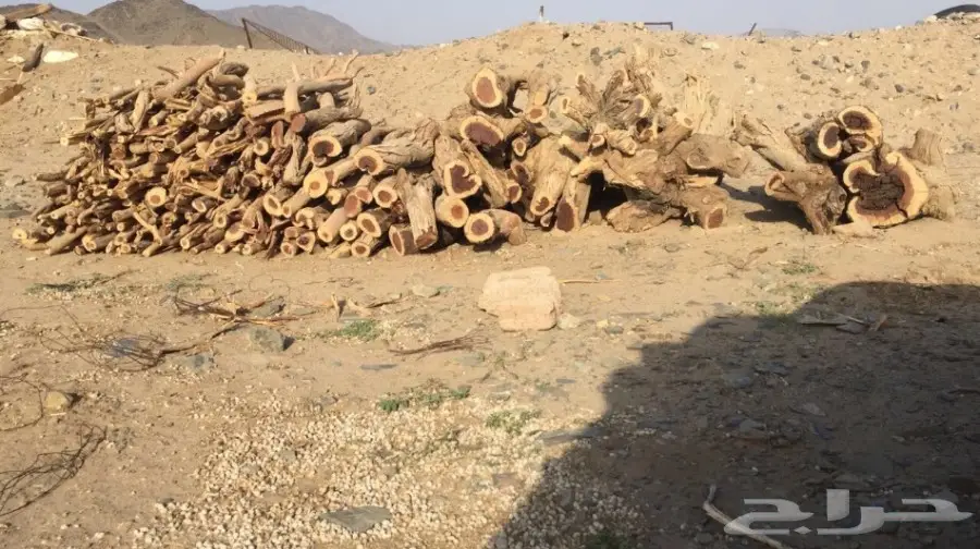 سمر للبيع لأهل الاستراحات والكشتات