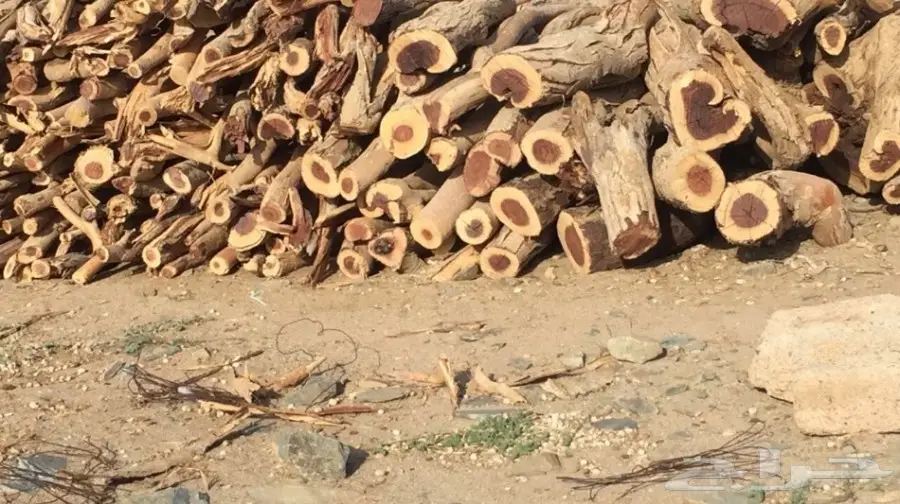 سمر للبيع لأهل الاستراحات والكشتات (image 1)