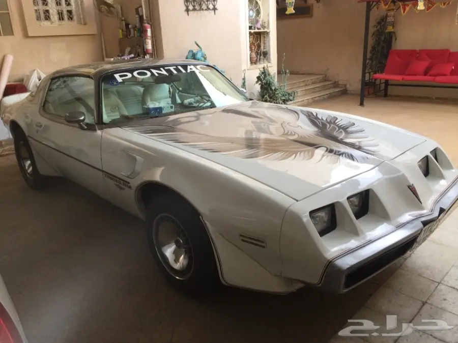 ترانزام 1980 اجمل سياره ابيض نظيف جدا امريكي