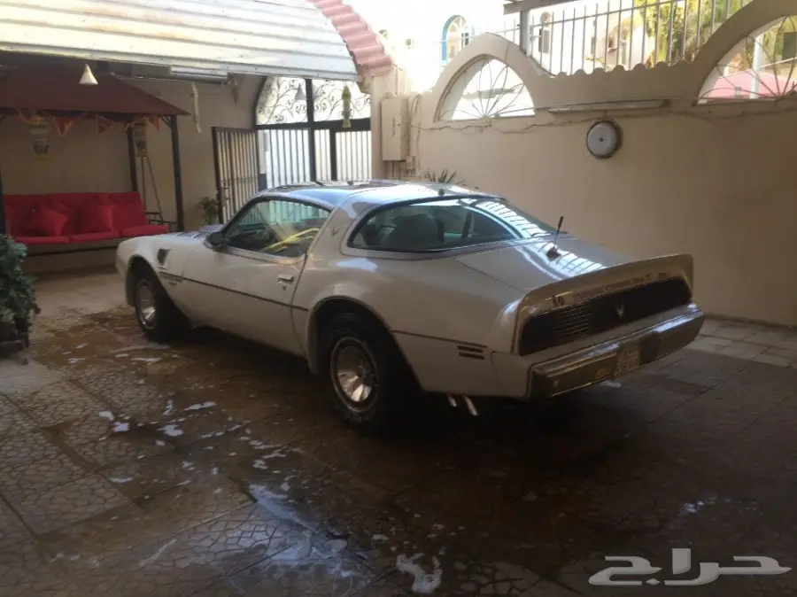 ترانزام 1980 اجمل سياره ابيض نظيف جدا امريكي (image 4)