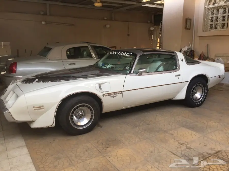 ترانزام 1980 اجمل سياره ابيض نظيف جدا امريكي (image 10)