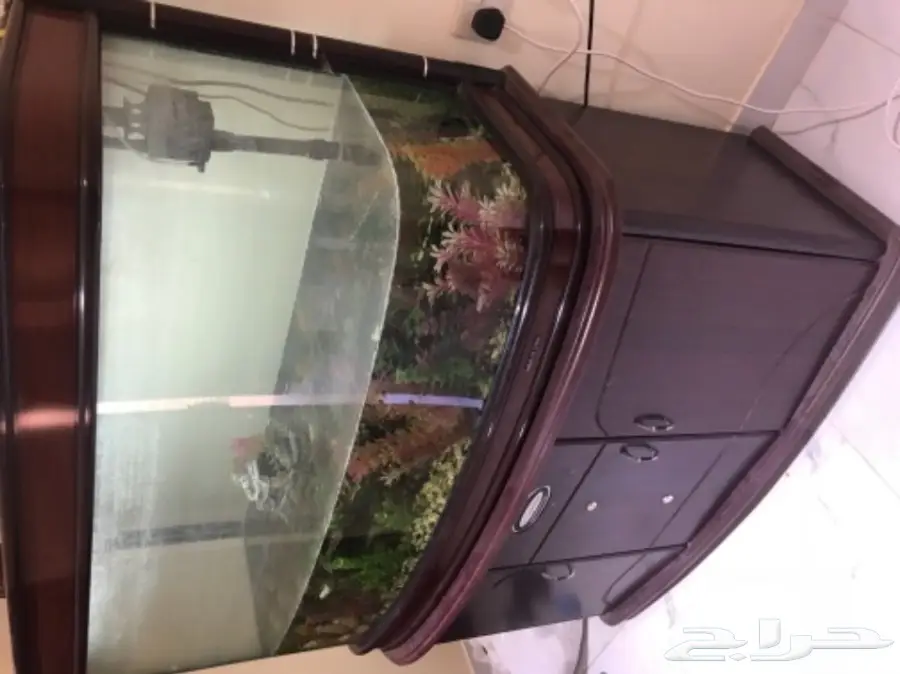 حوض سمك  (image 2)