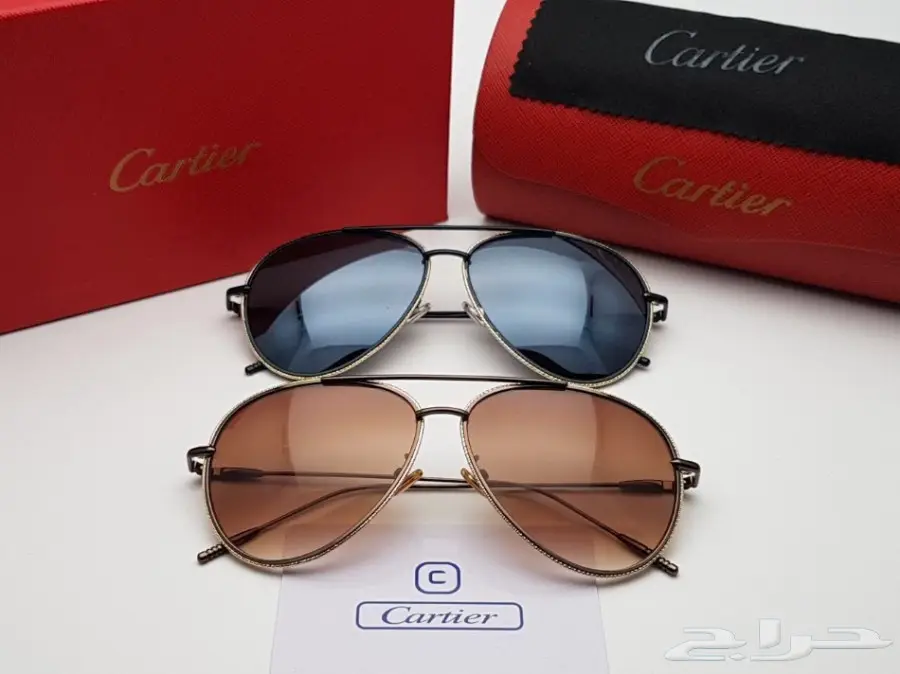 نضارات شتوية وبراويز طبية 2019 (image 115)