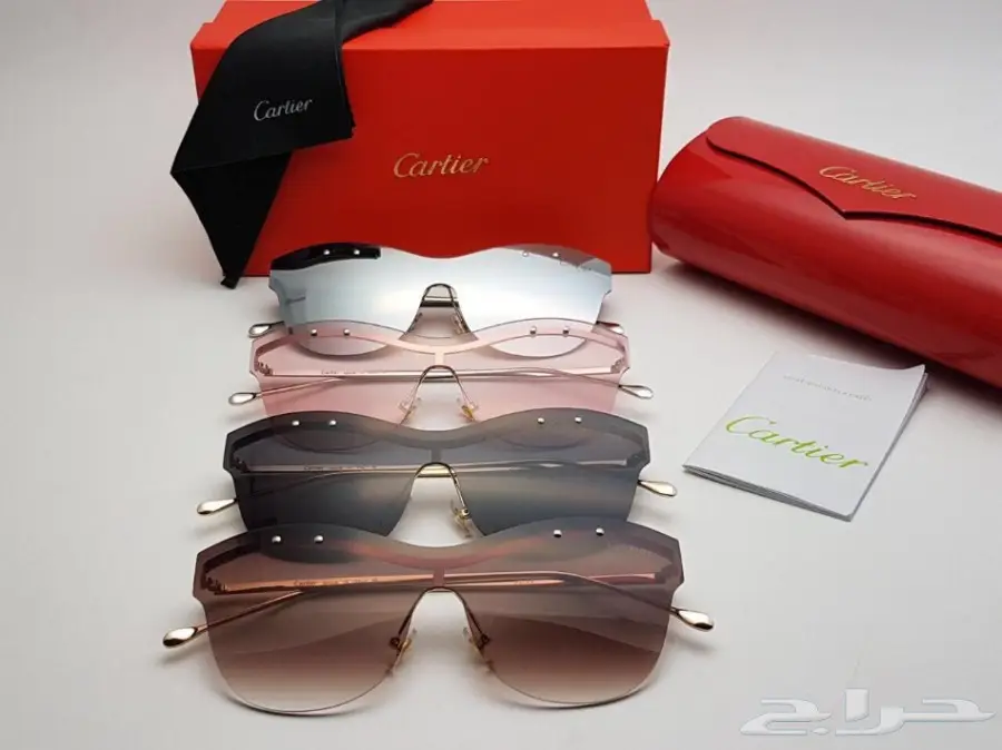 نضارات شتوية وبراويز طبية 2019 (image 142)