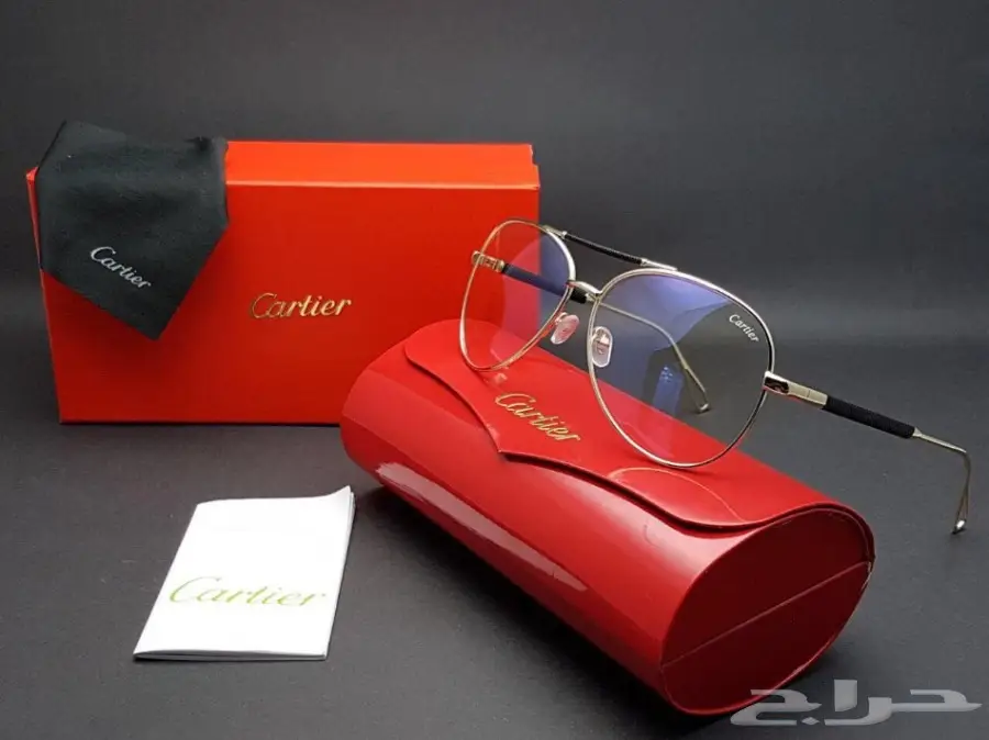 نضارات شتوية وبراويز طبية 2019 (image 308)