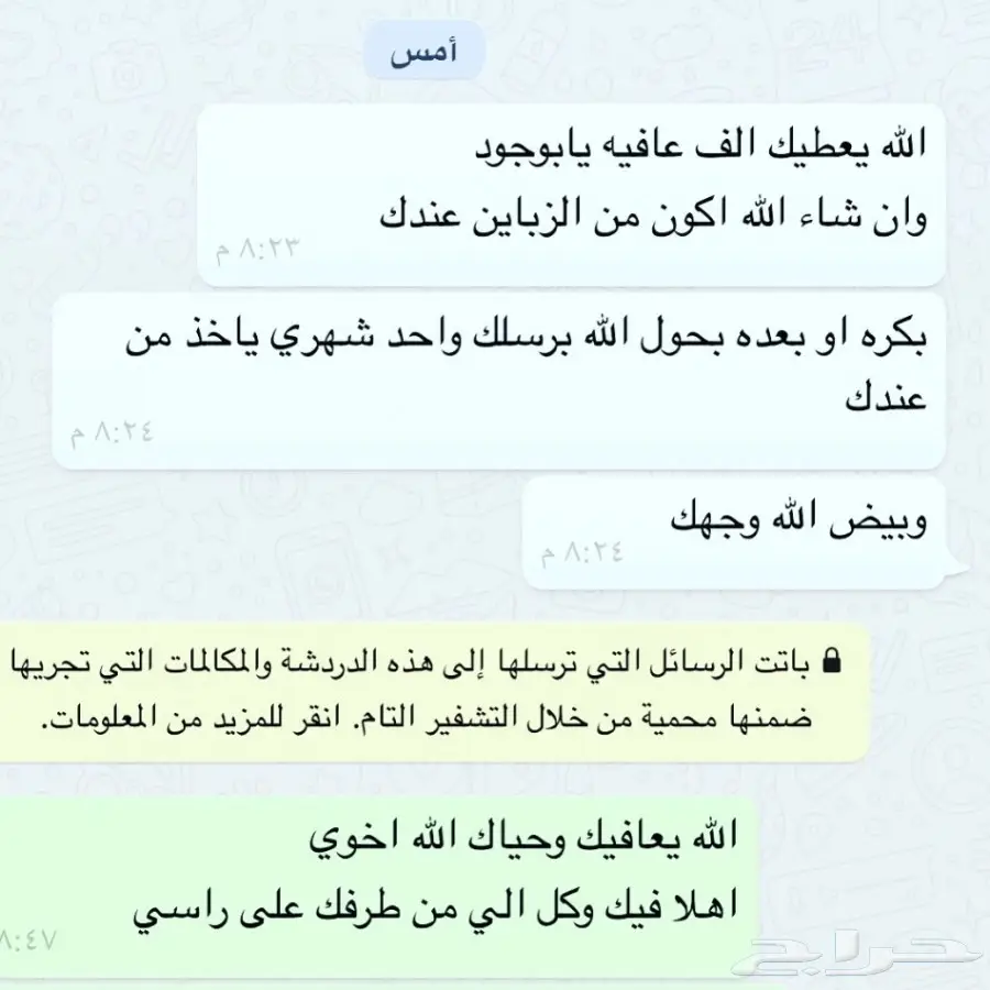 طليان حريه مع الذبح والتوصيل (image 26)