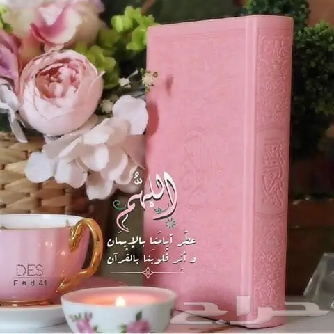 ساعات رولكس درجة اولى تصفيه ب270 شامل التوصيل (image 32)