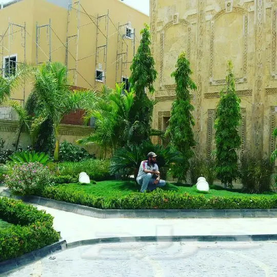 تصميم وتشطيب حدائق أحلامكم! (image 43)