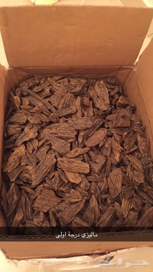 كلمنتان وماليزي ومروكي عود محسن فاخر 