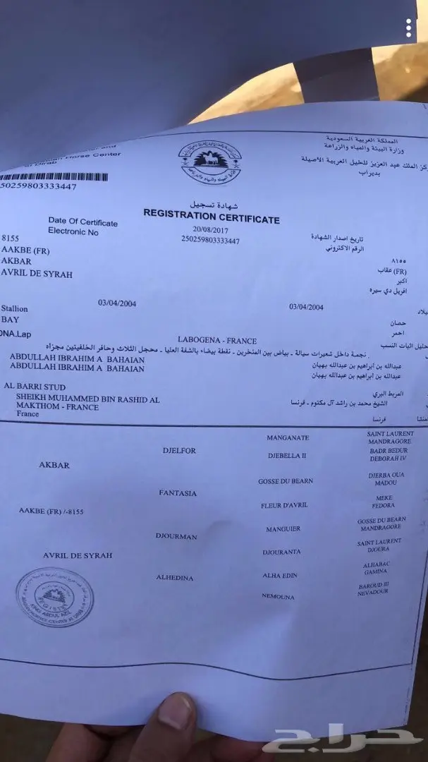 مهر عربي اصيل خط  فرنسي سرعة (image 1)