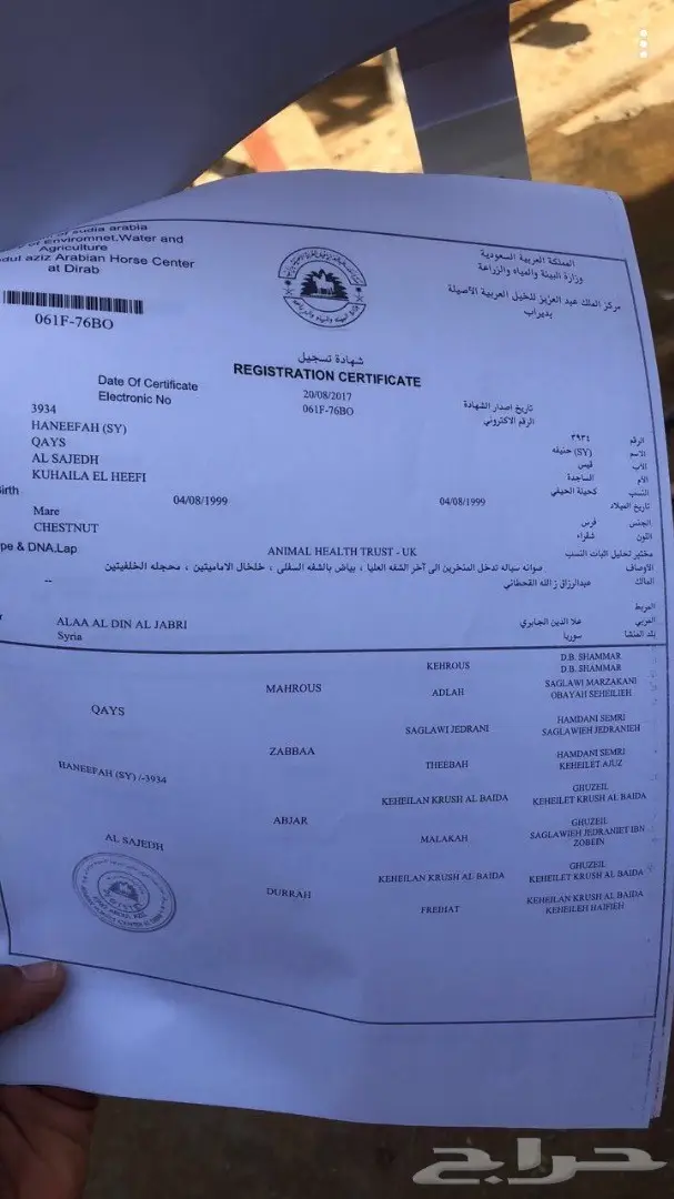 مهر عربي اصيل خط  فرنسي سرعة (image 2)