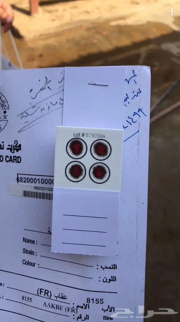 مهر عربي اصيل خط  فرنسي سرعة (image 4)