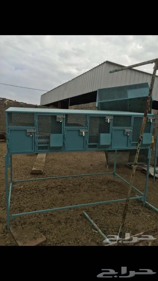 بطاريات ارانب خميس مشيط  (image 2)