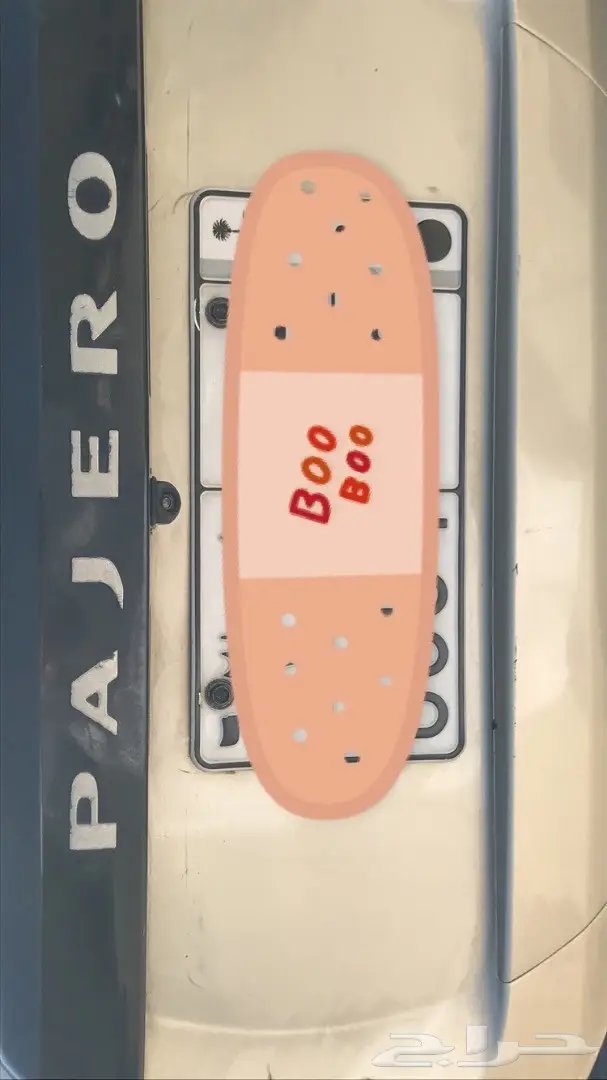 باجيرو ربع 2018 (image 14)