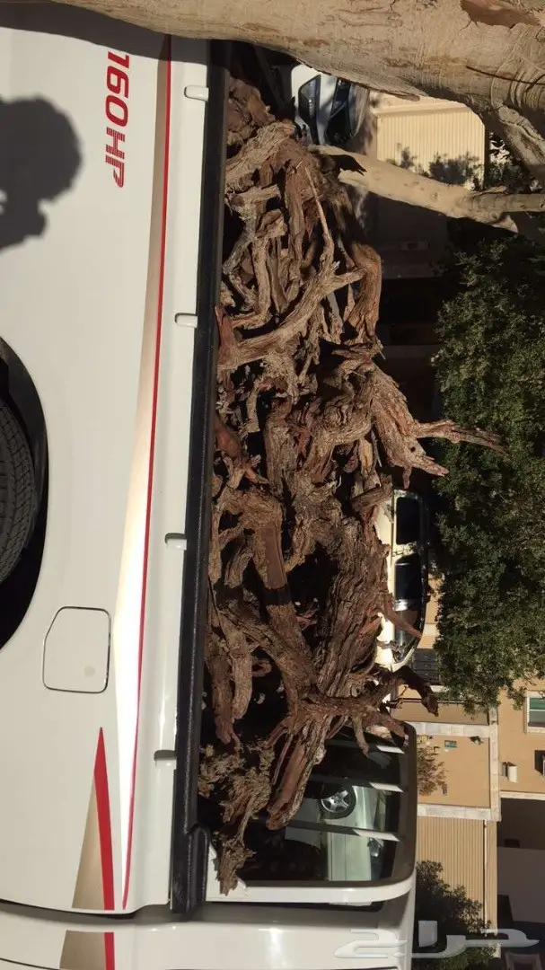حطب ارطا جروم يابس (image 4)