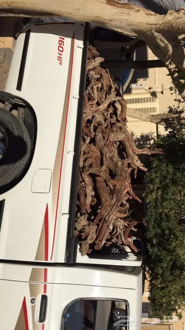 حطب ارطا جروم يابس (image 5)