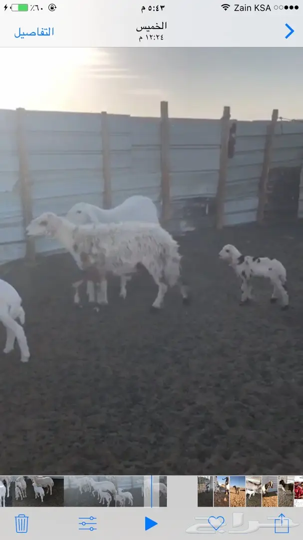 حريات متابيع 6 معها 7 شرق الرياض - عاجل  (image 5)