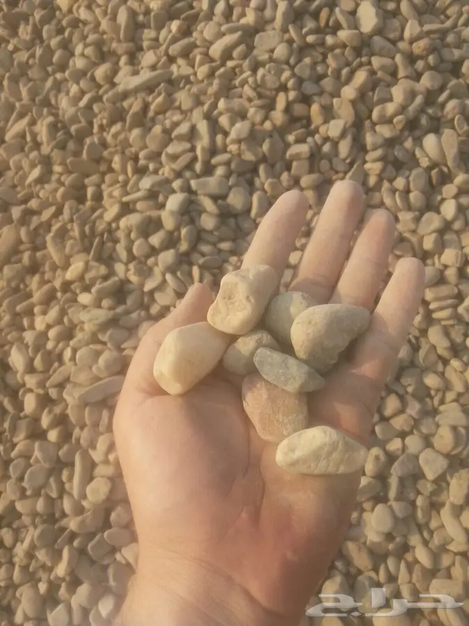 الخرسانة البيضاء للزينة جدة وما حولها (image 9)