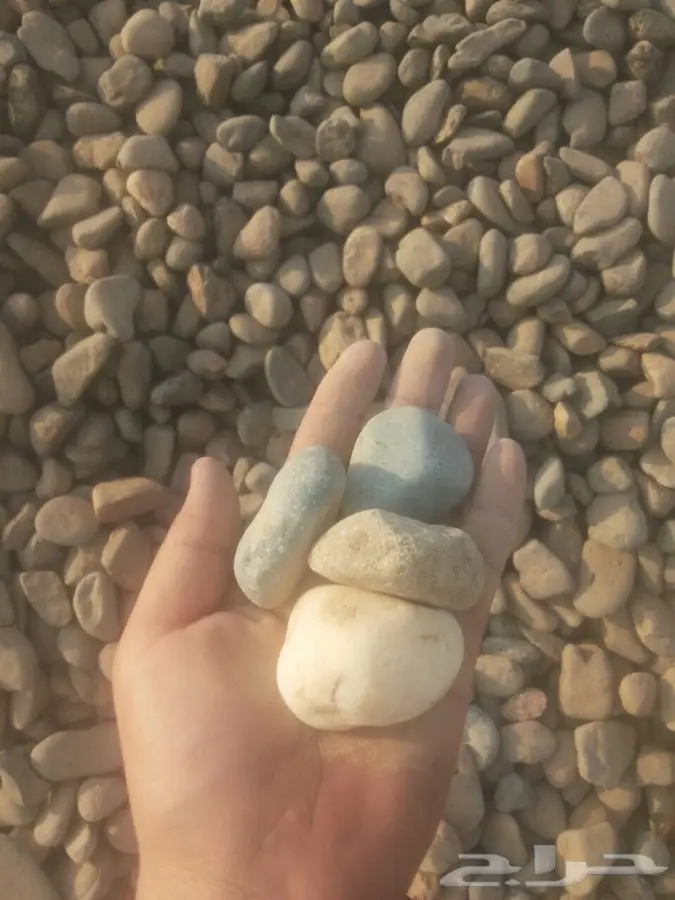 الخرسانة البيضاء للزينة جدة وما حولها (image 5)