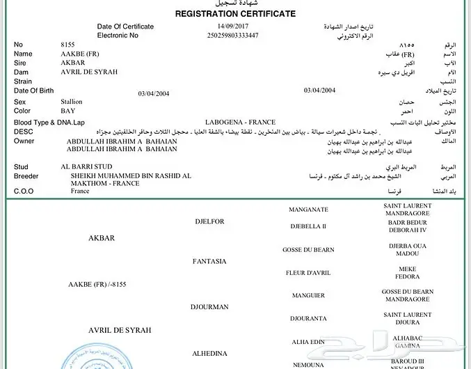 مهر عربي اصيل خط  فرنسي سرعة (image 8)